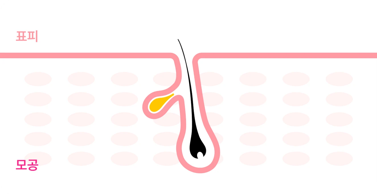 2Derma 골드PTT-3